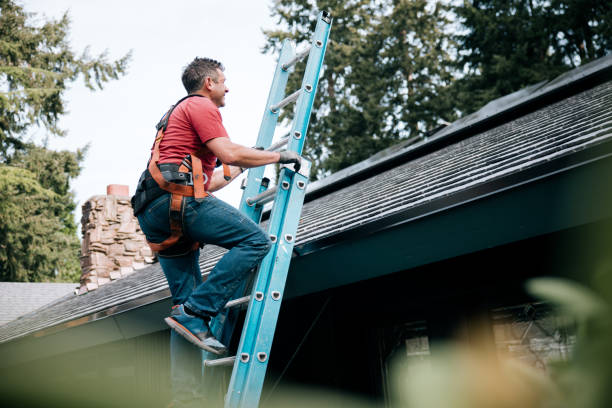 Professional Roofing Services in Santa Cruz, CA